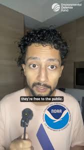 Thanks to the relentless efforts of EDF and many others, more than 75% of  the Trump administration's rollbacks failed in court. Meet Vickie Patton,  EDF's general counsel, and the person responsible for