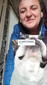 Django le bouledogue... Suite à des soucis de la vie, nous avons été  contactés pour récupérer leur chien Django, un adorable bouledogue français  de 6 ans, un petit mâle. Une situation compliquée.