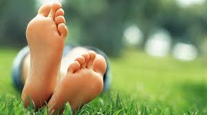 It is the terminal portion of a limb which bears weight and allows locomotion. How Nutrition Can Affect Your Feet Everyday Health