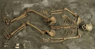 Column on 1 february 2019 (check views).the text of the. L Homme De Loschbour Dans Nature Musee National D Histoire Naturelle