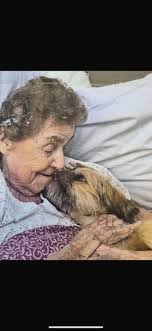 JOIN OUR TEAM 💜💜💜 We have vacancies for all over Barnsley at the moment,  for both drivers and walkers 🚘🚶‍♀️ Interviews will be taking place as  soon as possible 💜💜💜 #teamworkmakesthedreamwork 📞: