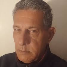 Stray dog seeks removal of plastics from mangrove trees in mahalaxmi east