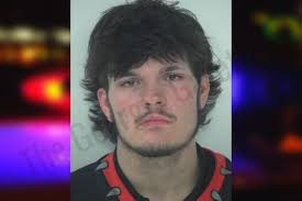 Grant Poole: https://thegeorgiagazette.com/fayette/grant-poole/