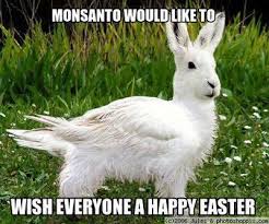 Happy Easter From Monsanto Country Living In A Cariboo Valley Animals Monsanto Funny Animal Pictures