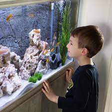 Akan tetapi jika aquarium unik ikan cupang buatan sendiri akan membawa kebanggaan tersendiri dan meskipun hasilnya tidak layak jual masih bisa kita banggakan dan bisa dipajang di ruang tamu anda. Cara Membuat Aquarium Unik Agar Sudut Ruangan Menjadi Lebih Hidup Lifestyle Liputan6 Com
