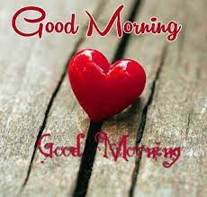 Top 100 Good Morning Love Images For Girlfriend Whatsapp Dp Love Dp Whatsapp Wallpaper Dp Images Wh Good Morning Love Gif Good Morning Love Morning Love