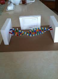 Biology Science Fair Projects For 7th Grade Pin By Colleen Corcoran On School Projects Biology Projects Dna Model Project Science Projects
