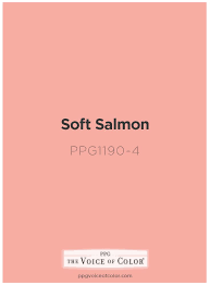 Soft Salmon Ppg1190 4 In 2019 Turquoise Paint Colors