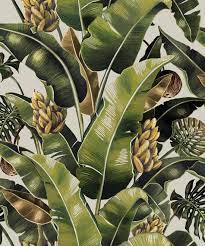 Kingdom Palm Wallpaper Tropical Botanical Decor Milton King Palm Wallpaper Palm Leaf Wallpaper Leaf Wallpaper