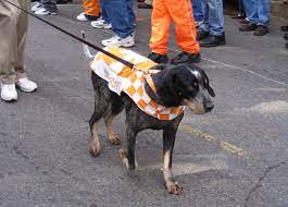 The following is a list of mascots of national football league teams: Smokey Mascot Wikipedia