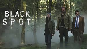 Image result for tv francesi