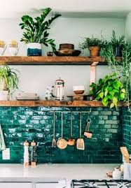 Pilea Peperomioides Cultiver La Plante A Monnaie Chinoise Credence Cuisine Cuisines Deco Tuiles Vertes