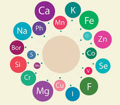 Macro indicates large and macronutrients are nutrients required in large amounts. A Guide To Micronutrients Recommendations Sources Nasm