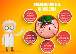 Programa Nacional Etv Y Dengue