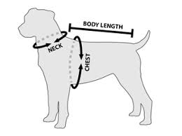 Image result for dog measurement chart