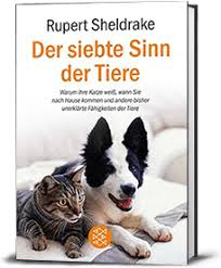 Das mir mein hund viel lieber sei, sagst du, oh mensch, sei sünde. Der Siebte Sinn Der Tiere
