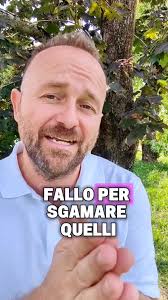 SE VUOI FREGARE IL SISTEMA, STUDIA, Ti racconto questa. , Io sono figlio di  due venditori ambulanti., Insomma: una famiglia molto umile., Allora, di  tutta la mia prima infanzia io ricordo una sola ...