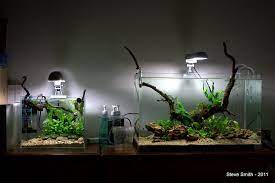 35cm Nano Shrimp Tank Shrimp Tank Freshwater Aquarium Nano Aquarium