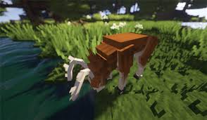 This resource pack adds a new model and texture for cow, mooshroom and brown mooshroom. Better Animals Plus Mod Para Minecraft 1 14 4 Minecrafteo