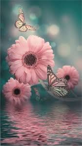 Download Free Android Wallpaper Flowers 4858 Mobilesmspk Net In 2020 Android Wallpaper Flowers Beautiful Flowers Wallpapers Butterfly Wallpaper Iphone