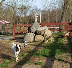The Unique Park Everyone In Connecticut Should Visit At Least Once Unique Animals Road Trip Places Animals