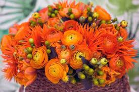 Image result for Ranunculus raeae