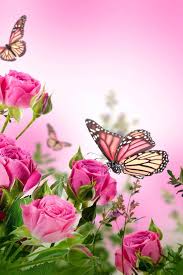 Flowers good morning images butterfly good morning images buddha good morning images. Pink Flower Butterfly Wallpapers Top Free Pink Flower Butterfly Backgrounds Wallpaperaccess