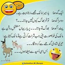 These cute and funny jokes for kids will have your whole family laughing. Jokes In Urdu 17 Funny Jokes For Kids Funny Quotes In Urdu Funny Crush Memes