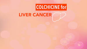 How can i correct cirrhosis? Herbal Sho Saiko To May Reduce Risk For Liver Cancer In Persons With Cirrhosis Cancerconnect