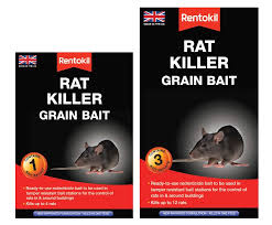 Top rat poison options for your home. Diy Rat Products Rentokil