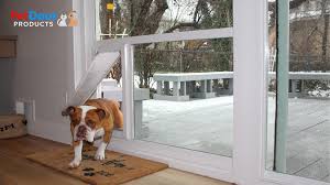 Dogs have fractured their shoulders falling down stairs. 5 Ways To Keep Your Dog Active In Winter Pet Door Products