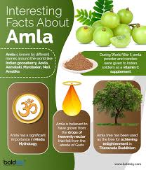 Then soak it in water for around 8 hours, preferably during the night. Newest Benefits Of Eating Amla Powder Sale Off 69