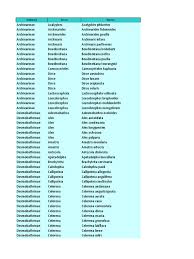 Image result for Trichopteryx elegantula