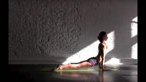 We lead live weekly classes as well. Morning Yoga For Flexibility With Tara Stiles Youtube