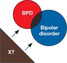 Borderline Bipolar Or Both Frame Your Diagnosis On The