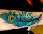 Peacock Wallpaper Feathers