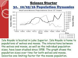 For instance, isle royale moose have a high rate of arthritis and scientists are studying their bones moose and wolves tangle in standard ways, too, and nowhere has it been more documented than isle he cups his hands and calls to her until she answers and then he is off, marching through the. The Moose And Wolves Of Isle Royale Worksheet Answers Promotiontablecovers