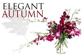 Maybe you would like to learn more about one of these? Schmitt S Florist Louisville Kentucky Ky Flowers Florist In Louisville Ky