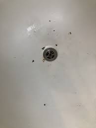 Bathtub Chip Repair Bronx NY