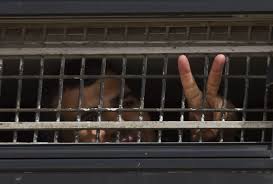Carceri israeliane, proteste e sciopero della fame dei detenuti ...