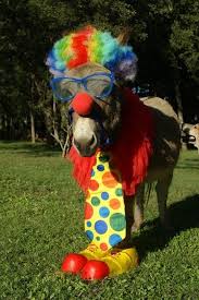 Every Person Youve Ever Disliked Horse Halloween Costumes Horse Costumes Horse Fancy Dress