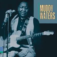 Baby Please Don T Go Muddy Waters Shazam In 2020 Muddy Waters Blues Music Pics