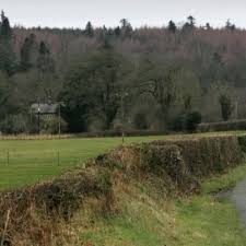 Cutting height and frequency are the two most important factors throughout the summer months. Plans To Allow Limited Roadside Hedge Cutting Scrapped