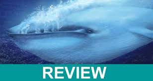 #bluewhalebitteninhalf2021 #bluewhalebittenreviews #scamadviserreportsblue whale bitten in half 2021 (february) who killed it! Blue Whale Bitten In Half 2021 March Find Out More Here