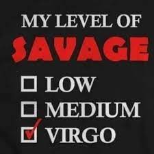 Virgo Savage Virgo Birthday Quotes Virgo Virgo Quotes