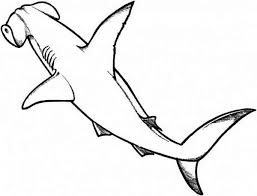 A Drawing Of Hammerhead Shark From The Top Coloring Page Kids Shark Drawing Hammerhead Shark Shark Coloring Pages
