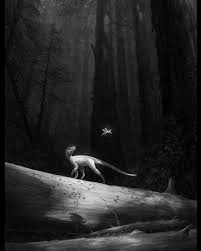 Image result for Brachystegia torrei