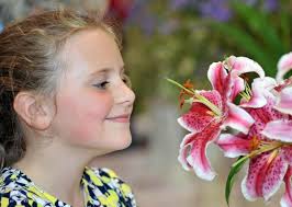 Helensburgh in full bloom at annual flower show