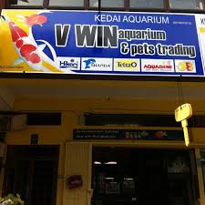 Search for the latest bandar puteri puchong jobs on careerjet, the employment search engine. Vwin Aquarium Pets Trading Pet Store In Puchong