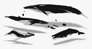 Ai (2014), eps, pdf, jpg & png (with transparent. 02 Apr Azores Whales Illustration Humpback Whale Hd Png Download Transparent Png Image Pngitem